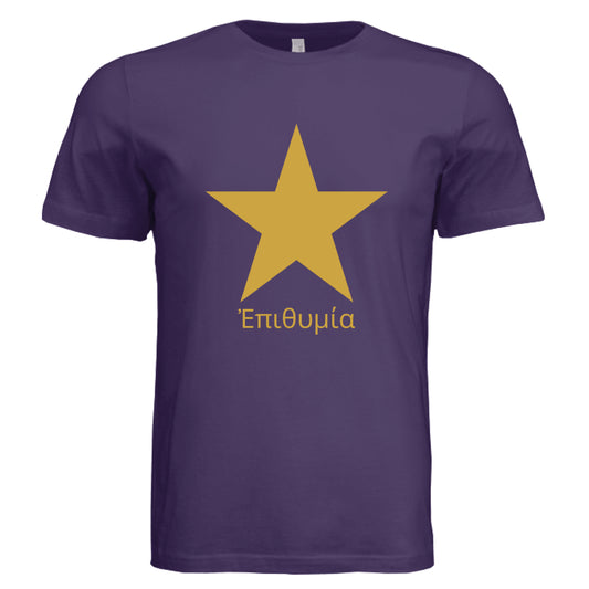Solid Team Purple Triblend - FRONT