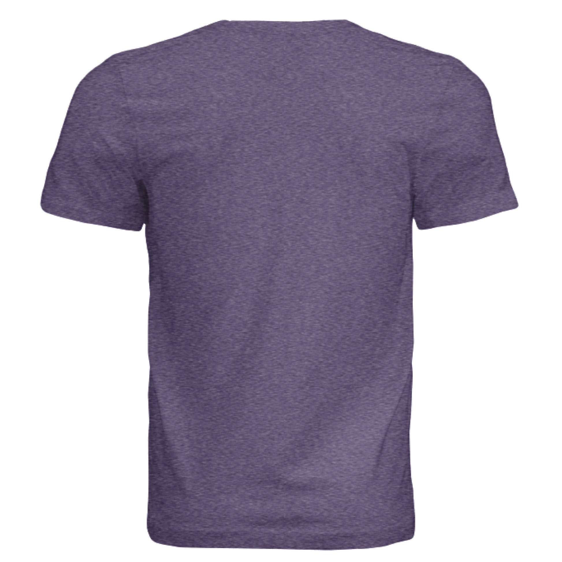 Solid Team Purple Triblend - BACK